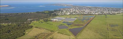 Philip Island Nursery - VIC (PBH3 00 34614)